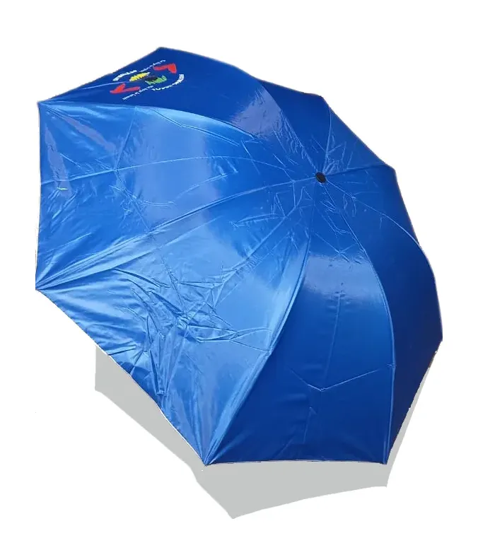 Umbrella 31